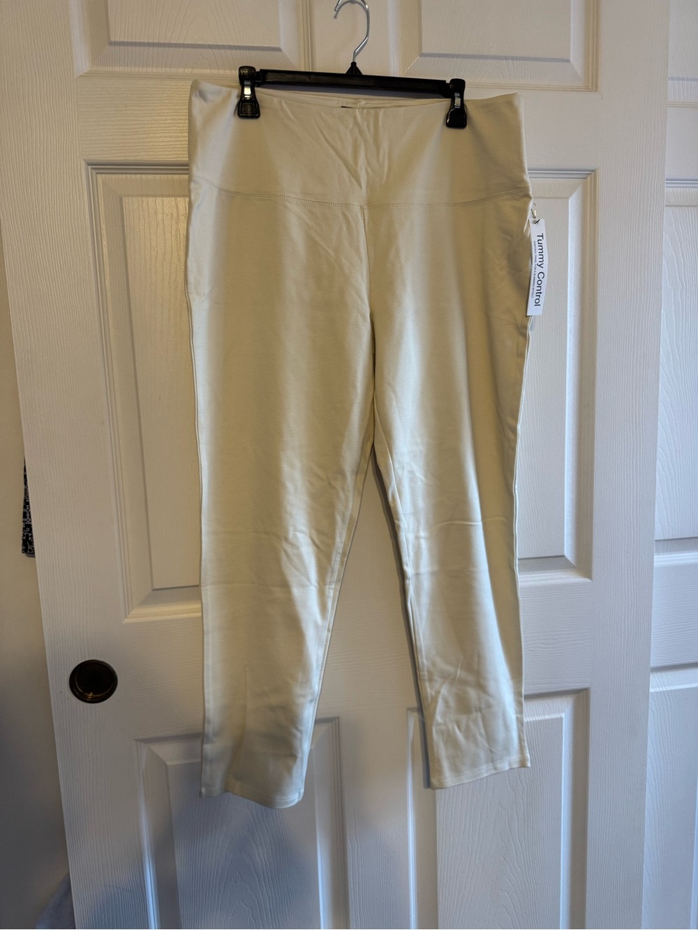 Jones & CO Tummy Control Cream Color Stretch Pants-Size 1X